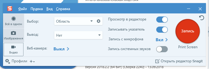 Русский SnagIt