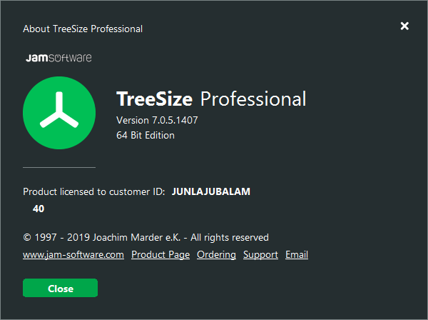 TreeSize Professional